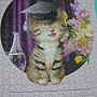 2011.03.14-15 500 pcs Makoto Muramatsu Collection (8).JPG