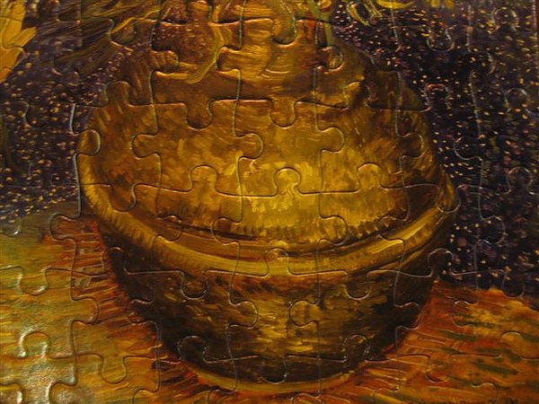 2010.05.29 108片貝母花 (9).JPG