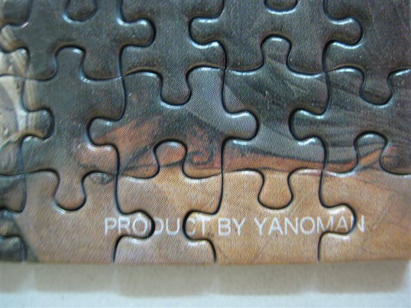 2010.06.20 迷你204片受胎告知 (16).JPG