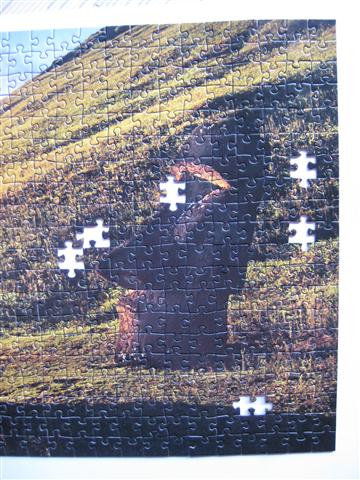 2010.07.17 1000 pcs Easter Island (8).JPG