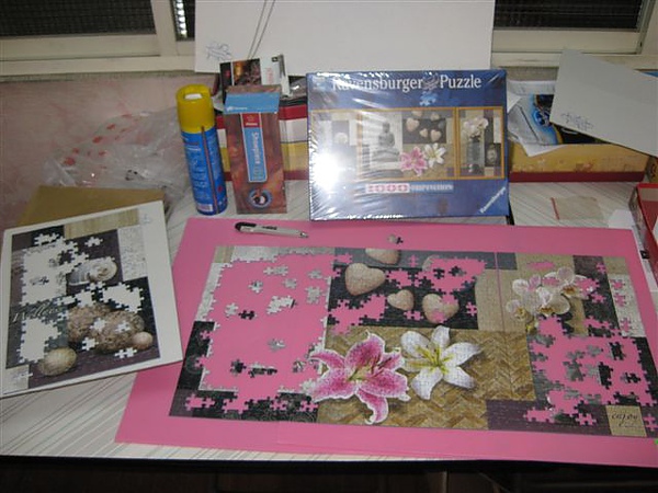 2010.11.24 1000 pcs Peace and Harmony (6).JPG