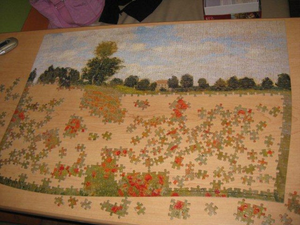 2010.10.24 1000 pcs 野罌粟花 (4).jpg