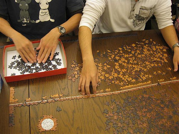 2010.11.28 1000 pcs Crossing the Savannah (2).JPG