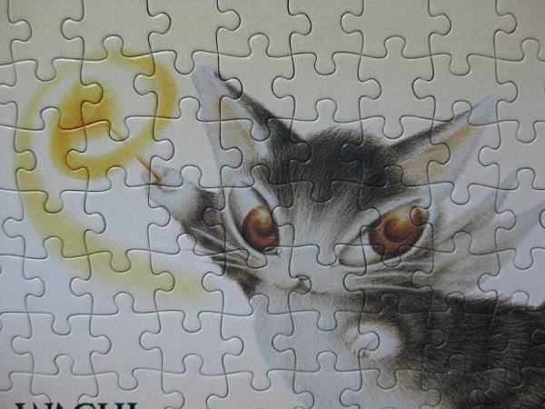 2011.05.22 108 pcs 01-729 (5).jpg