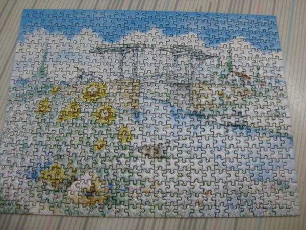 2010.09.29 迷你500片阿爾吊橋 (5).jpg