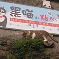 2010.09.05 猴硐_貓村 (41).JPG