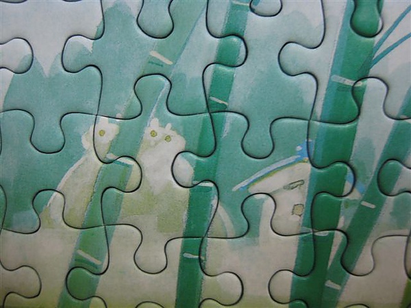 2010.06.19 300片竹林 (22).JPG