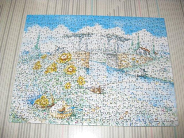 2010.09.29 迷你500片阿爾吊橋 (6).jpg