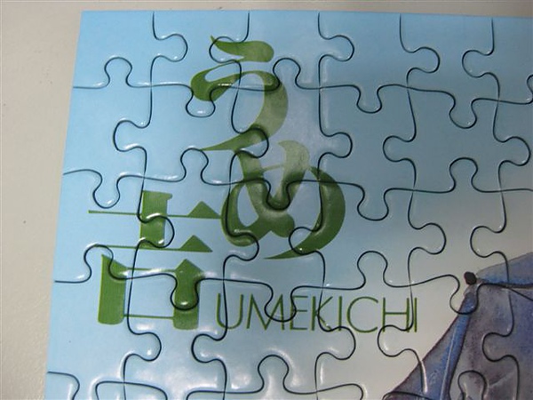 2010.07.28 300片雨之詩 (12).JPG