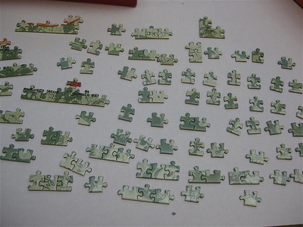 2010.08.12 Tenyo mini 1000 pcs 米奇海報大集合 (6).JPG
