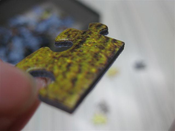 2010.07.13 1000片復活節島 (4).JPG