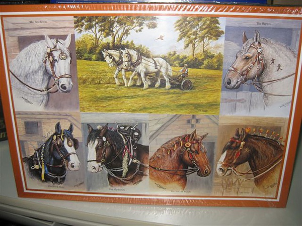 2010.06.14 JG抵台 (17).JPG