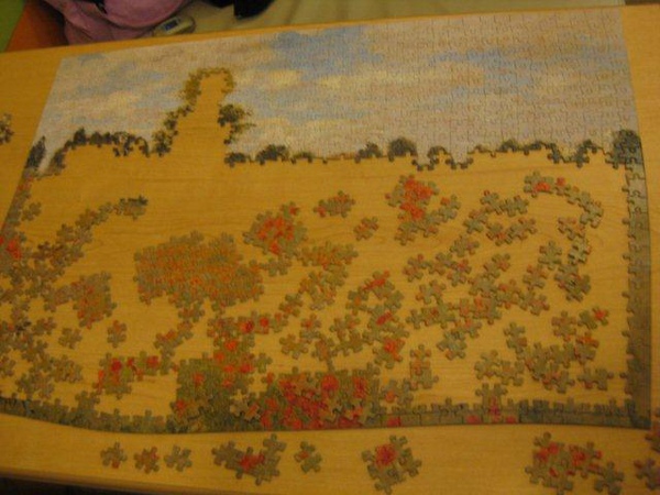 2010.10.24 1000 pcs 野罌粟花 (3).jpg