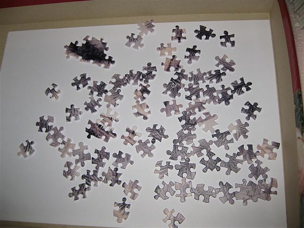 2010.06.18 Pintoo 1000片秋容 (6).JPG