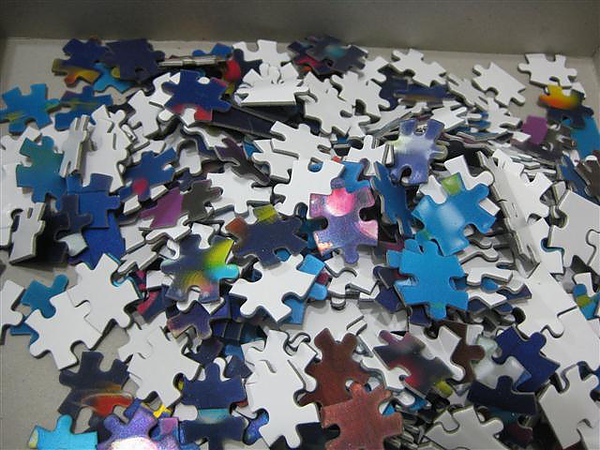 2011.03.02 500 pcs 星星相映 (4).JPG