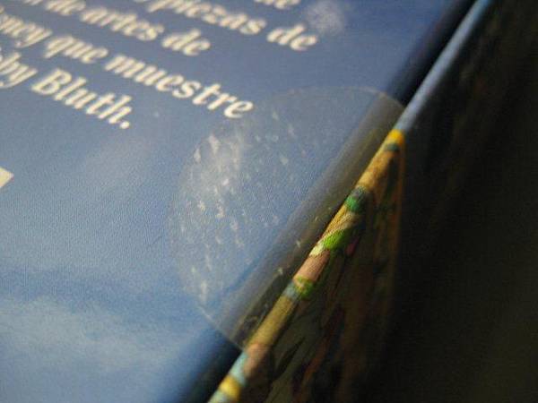 2011.05.29 1000 pcs Fantasia (2).jpg