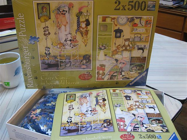 2010.06.14 500x2 Crazy cats in Household Heaven.JPG