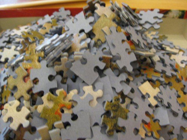 2010.10.24 1000 pcs 野罌粟花 (1).jpg