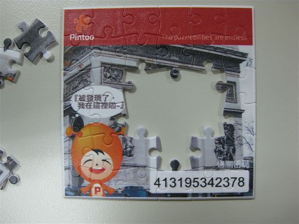 2010.08.10 25 pcs Pintoo (9).JPG