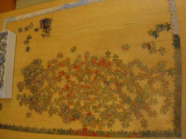 2010.10.24 1000 pcs 野罌粟花 (2).jpg