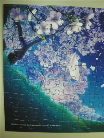 2010.08.31 108片星櫻 (10).JPG