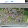 2011.05.26 300 pcs 高橋永順的插花 (1).jpg