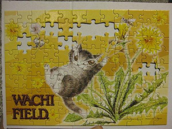 2011.05.22 108 pcs 01-763 (4).jpg