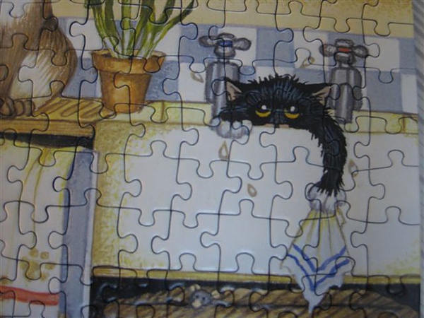 2010.06.14 500片Kitchen Chaos (16).JPG