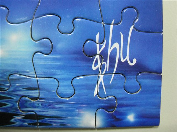 2010.09.24 300片SHU (11).JPG