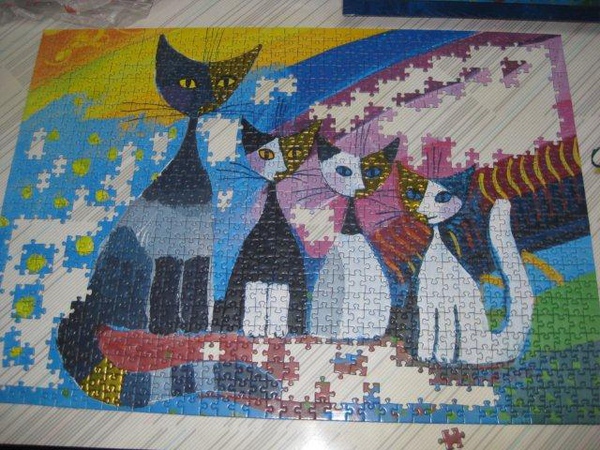 2010.11.06 1000 pcs 彩虹下的約定 (7).jpg