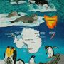 Antarctica TeaTowel.jpg