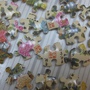 2010.05.20 24片富貴牡丹.JPG