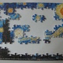 2010.07.13 Pintoo XS 150片星夜, 1889 (11).JPG