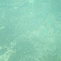 魚月鯉港浮潛
