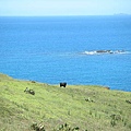 天台山