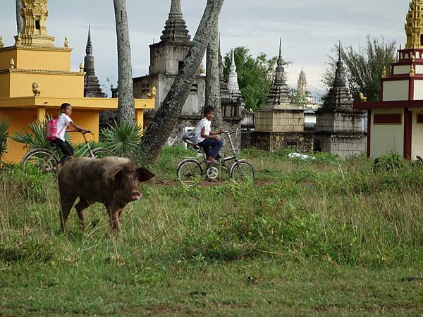 20873206502_0718036c33_k.jpg 20873206502_0718036c33_k.jpg