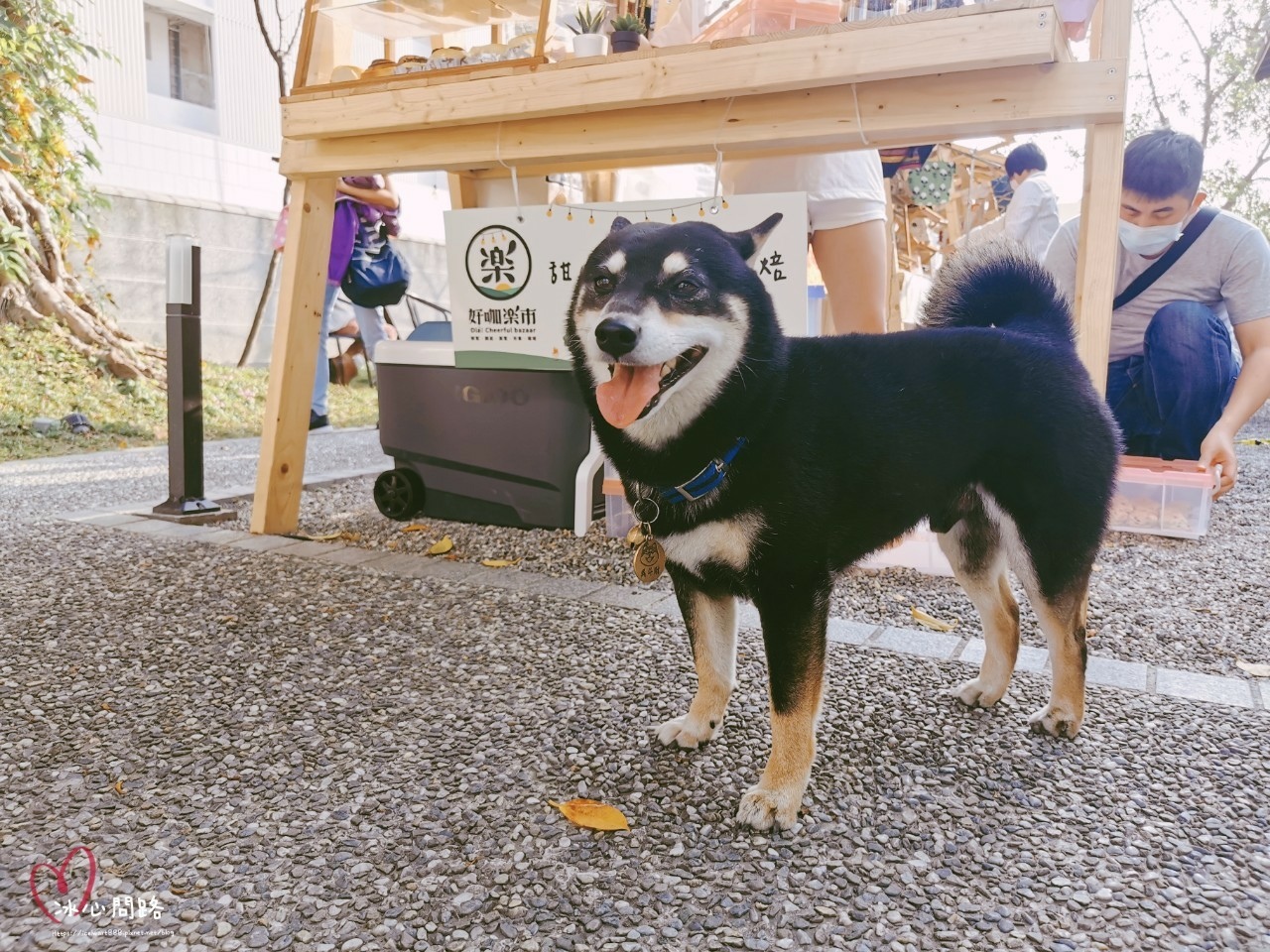 花蓮_好咖市集_咖逼小賣所_冰心問路 (35).jpg