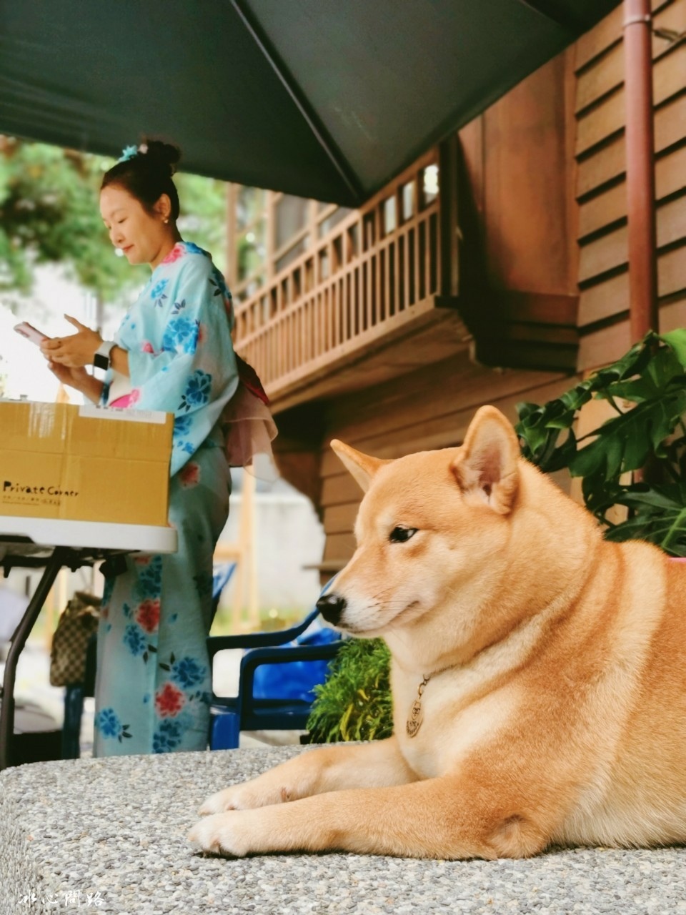 花蓮好玩 櫻花市集 好咖樂市 冰心問路 (6).jpg