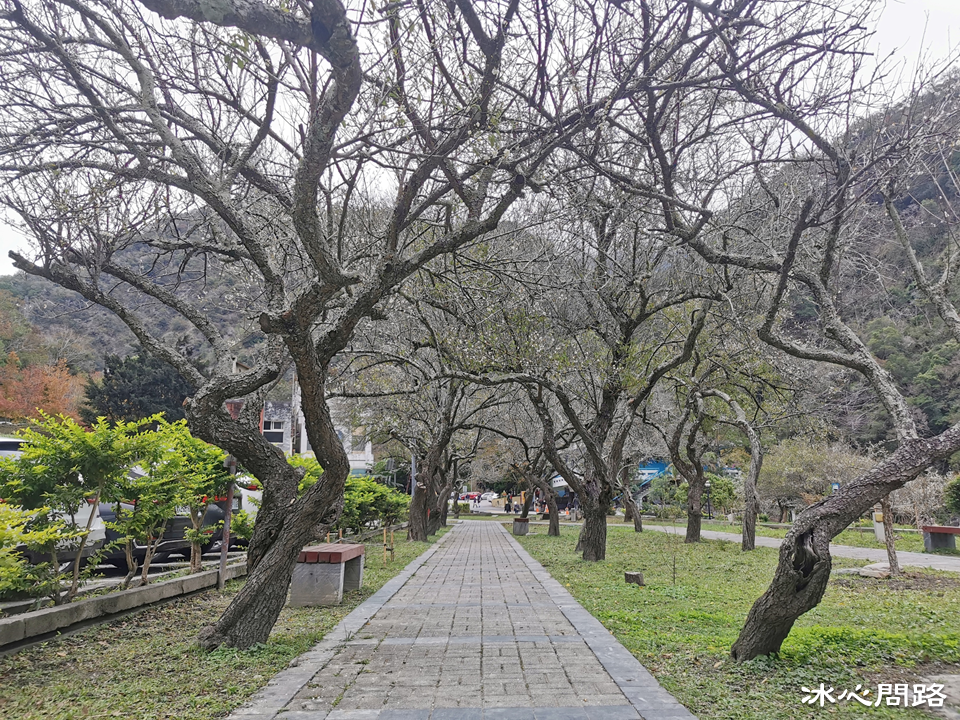 【在梅園裡來段燕無歇吧】賞梅景點推薦｜花蓮太魯閣晶英酒店 (5).PNG