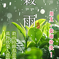 【2025(114年) 穀雨 谷雨 節氣 祝賀圖片、祝福圖、長輩早安圖】免費下載！ (9).PNG