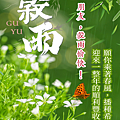 【2025(114年) 穀雨 谷雨 節氣 祝賀圖片、祝福圖、長輩早安圖】免費下載！ (11).PNG