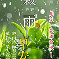 【2025(114年) 穀雨 谷雨 節氣 祝賀圖片、祝福圖、長輩早安圖】免費下載！ (21).PNG