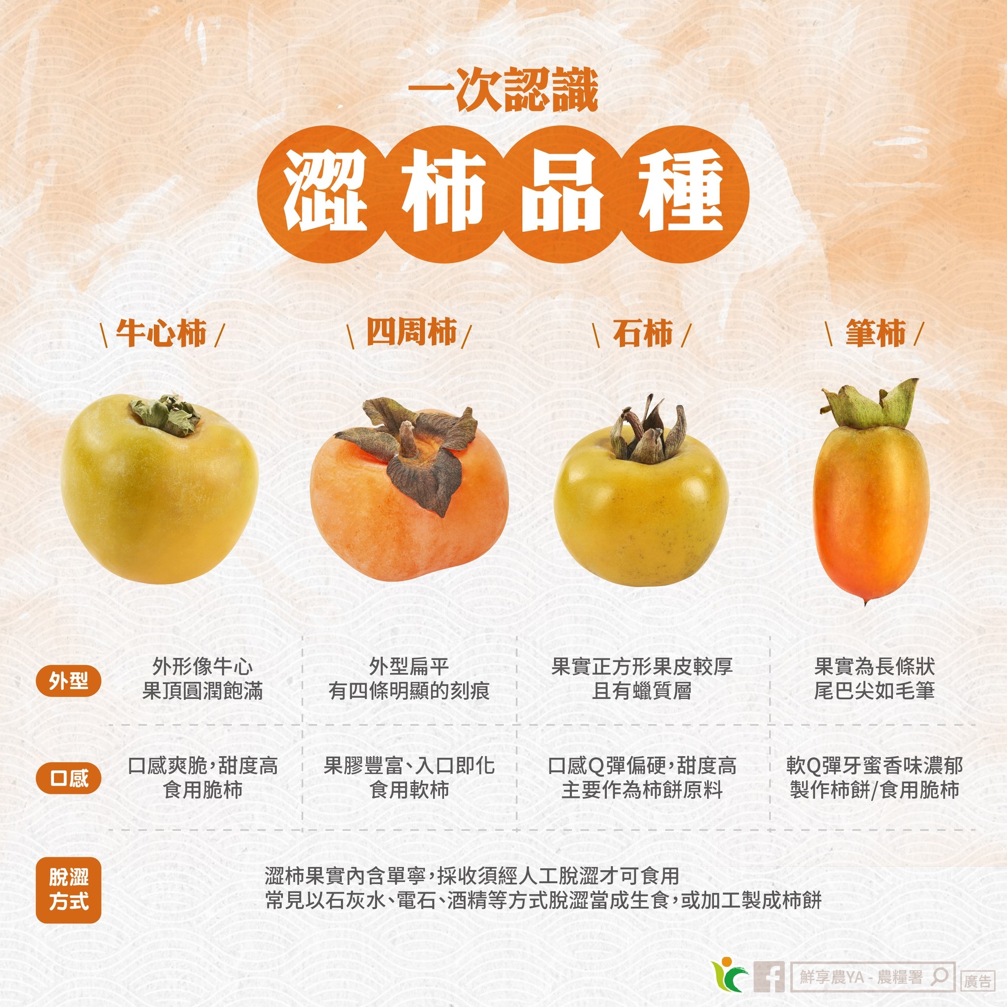 帶你認識秋天的小太陽!柿子的品種介紹、產地|甜柿、澀柿 帶你認識秋天的小太陽!柿子的品種介紹、產地|甜柿、澀柿