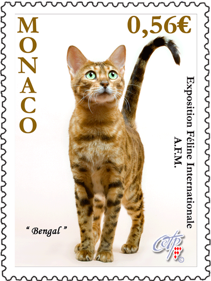 feline-10-AG.gif feline-10-AG.gif