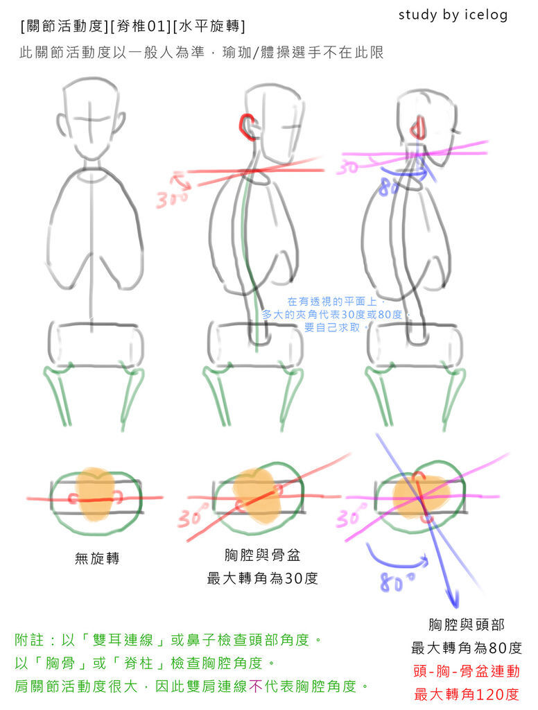 脊椎01 -旋轉角度m