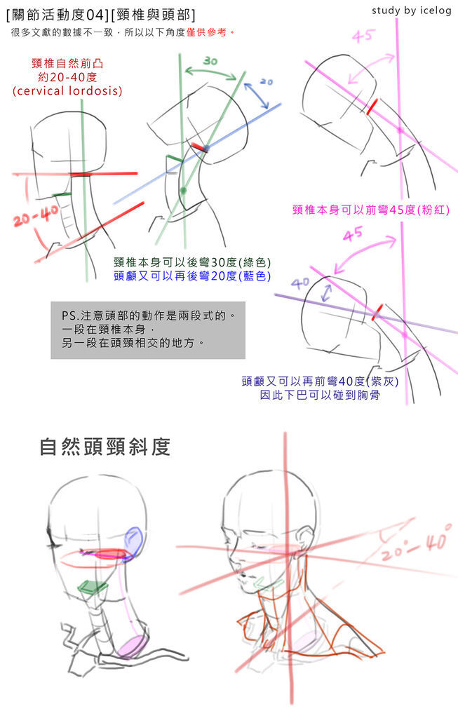 脊椎04 -頭頸m