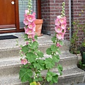 1976795526.jpg