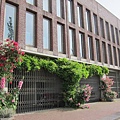 1976795534.jpg
