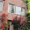 1976795535.jpg