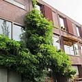 1976795536.jpg